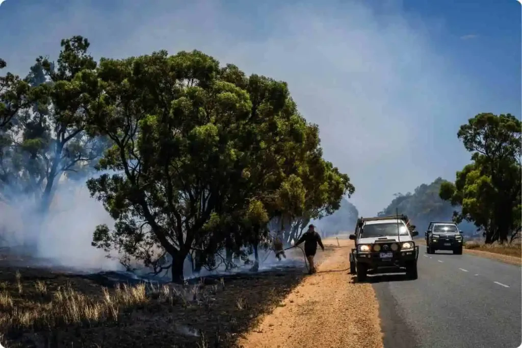 Best Time to Visit Munnar