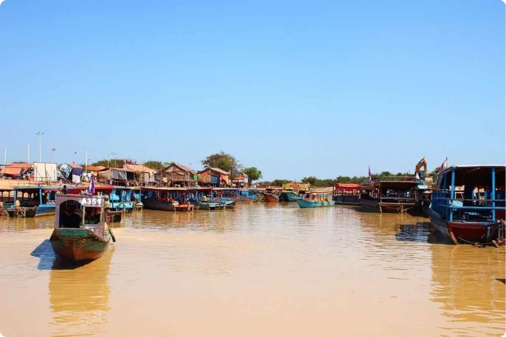 How to Reach Elephant Beach