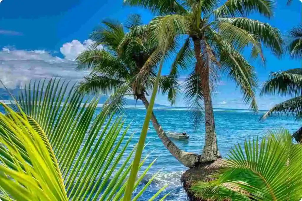 Elephant Beach Havelock Island: A Paradise for Nature Lovers