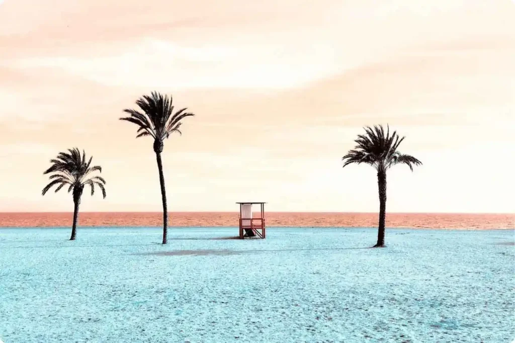 Elephant Beach Andaman: Best Time to Visit