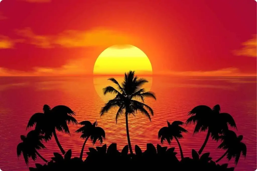 Travel Tips and Essentials