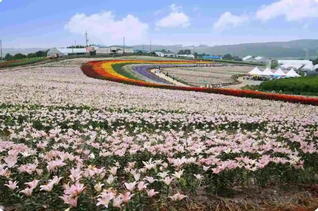 World Tourism Day Celebration in Andaman & Nicobar Islands