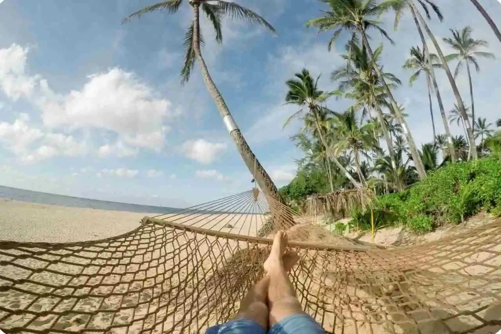 Tea Valley Resort Munnar – Best Budget Stay in Tea Plantations