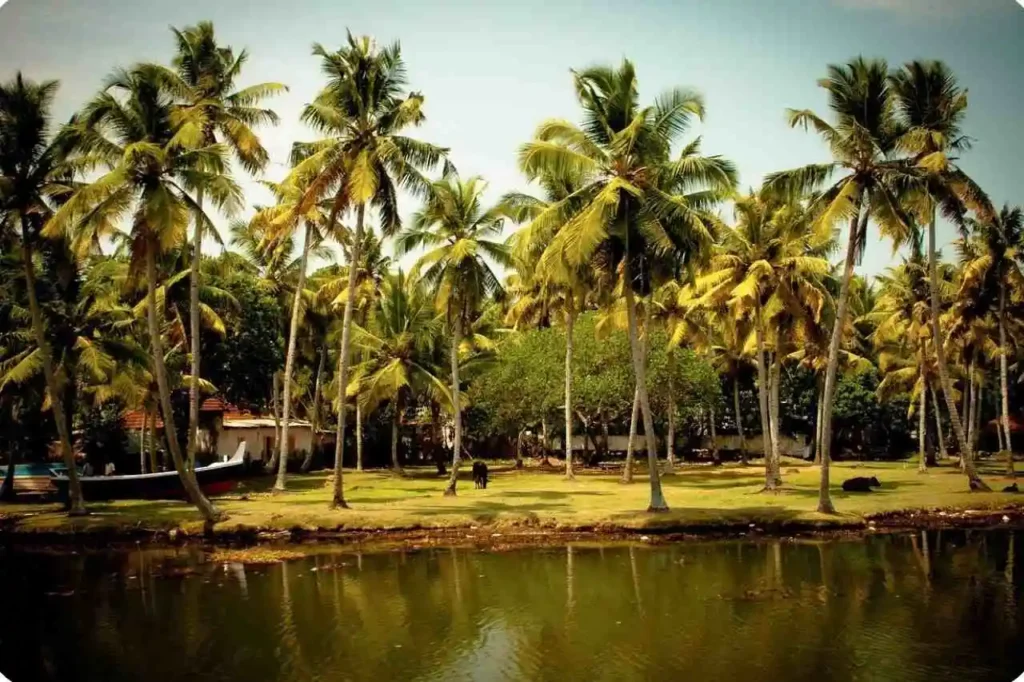 Introduction alleppey