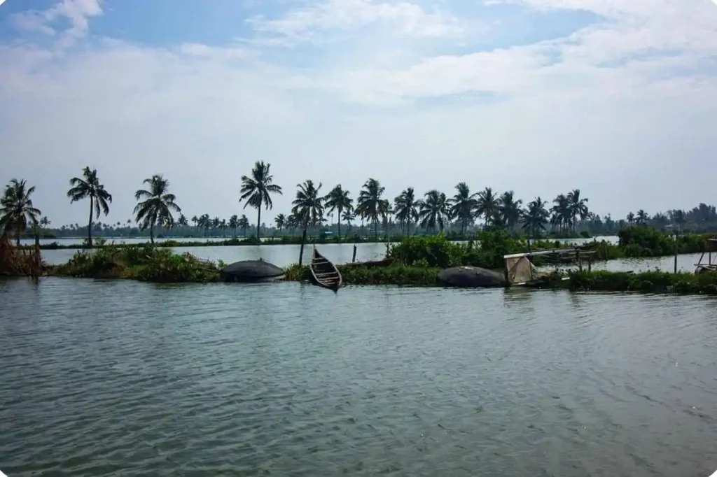 Alleppey Overview