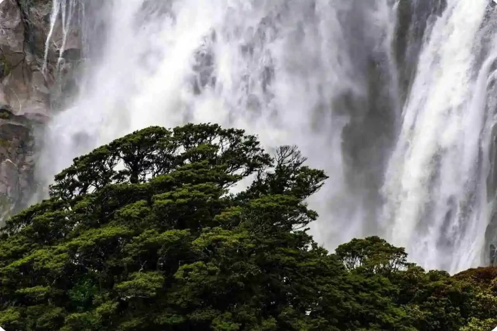 Introduction: The Magic of Kerala’s Waterfalls