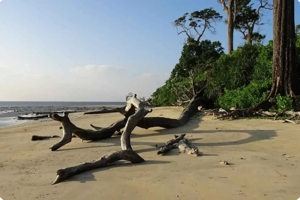 Introduction of wandoor Beach