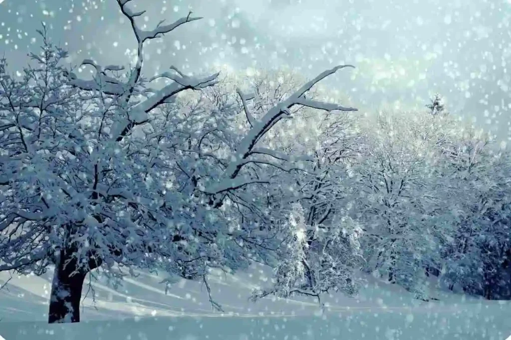 Kufri – Snow Adventure Near Shimla