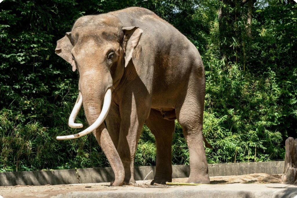 Important Travel Tips Before Visiting